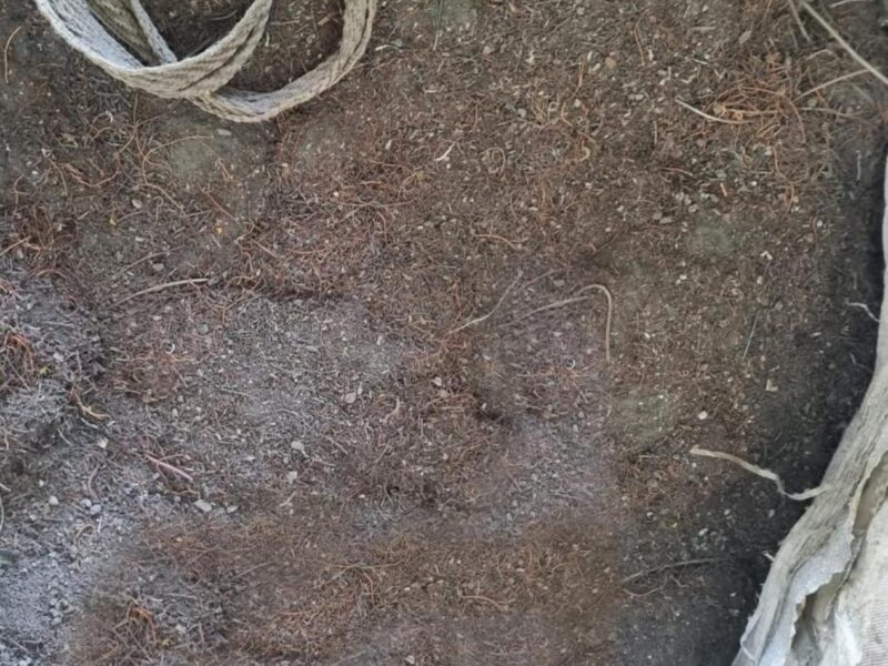 Compro lama de cobre, varredura de cobre e pó de cobre