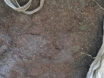 Compro pó de cobre, varredura de cobre procuro fornecedores.